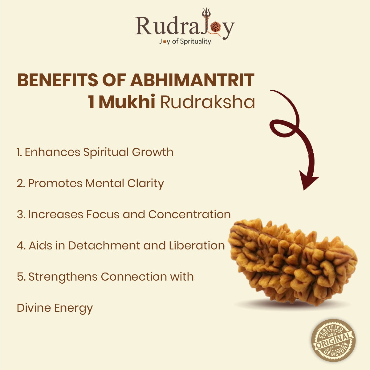 Original 1 Mukhi Rudraksha  |  Nepali Abhimantrit