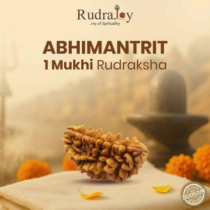 Original 1 Mukhi Rudraksha  |  Nepali Abhimantrit